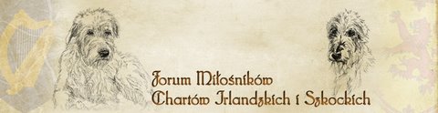 baner forum