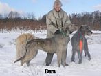 OWENMORE DEIRDRE Champion Polski