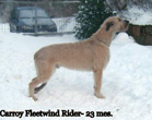 Carroy FLEETWIND RIDER